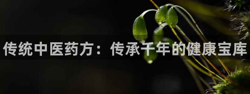 九游会集团 | 首页