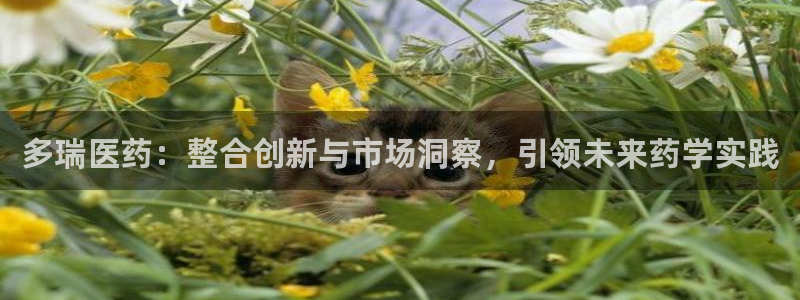 ag九游会官网网址