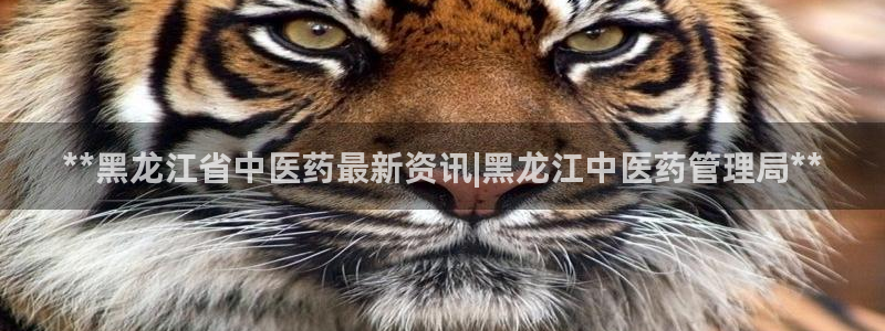 九游会跟ag是怎么一