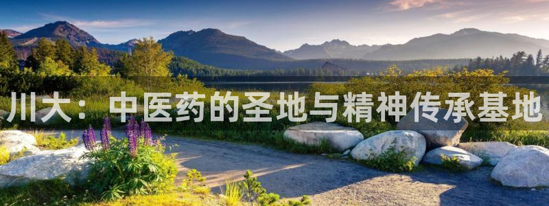 九游会网址是什么情况