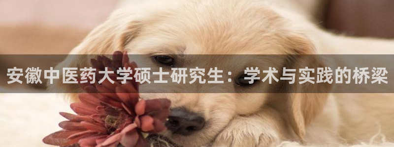 九游会最新网站