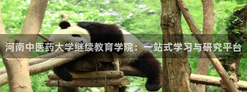 ag亚洲国际游戏九游会