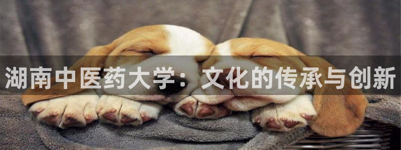 九游会平台入口