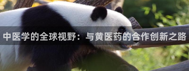 ag九游会官网网址