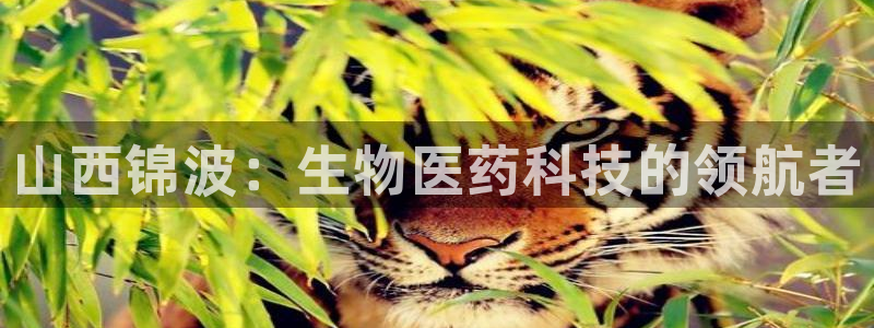 九游官网j9活动介绍