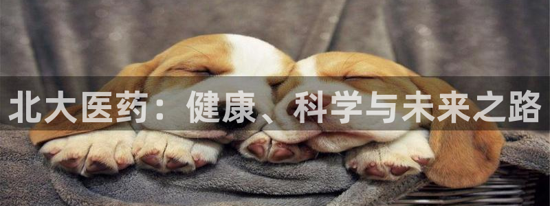 ag老帅百度百科：北