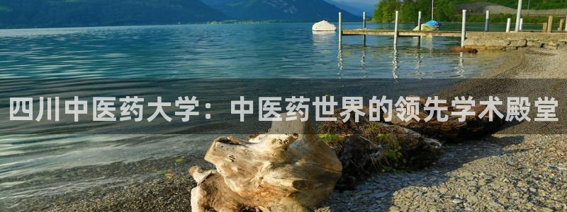 九游会AG在线平台