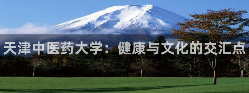 九游会ag官方网站在哪