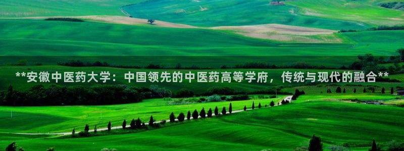 九游会登录网站吗