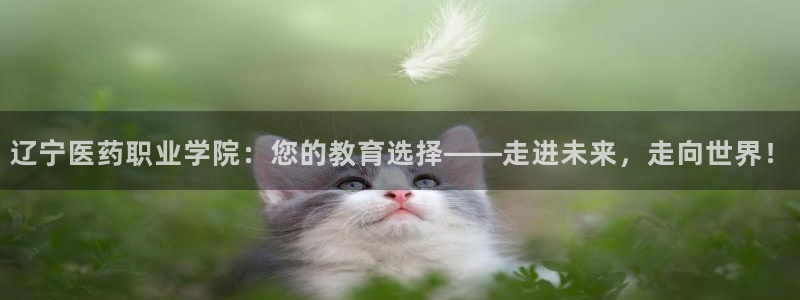 九游会官网进入