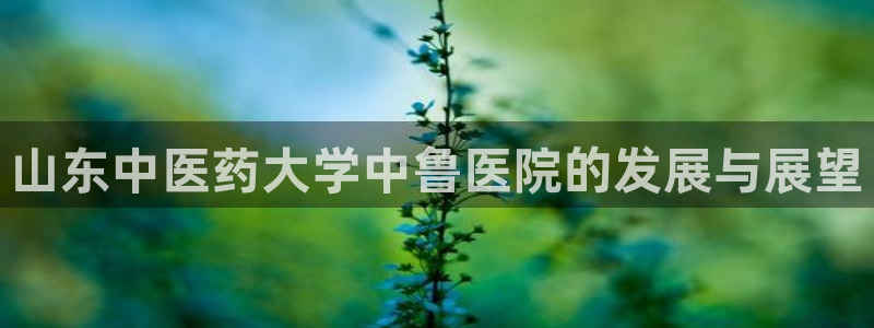 九游j9官网入口