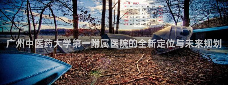 九游会app官方下载