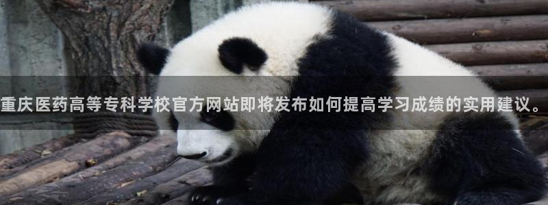 九游会老哥俱乐部官网