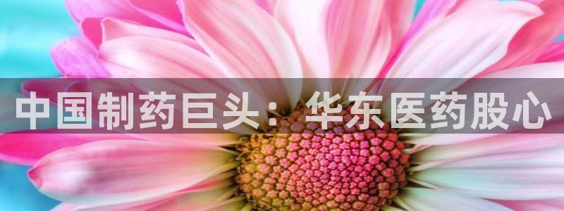 九游会官网页登录