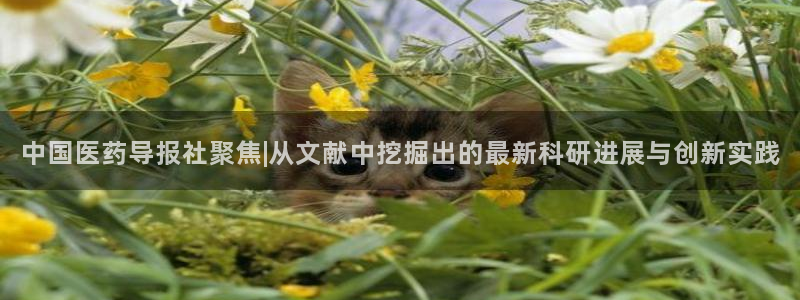 九游会登陆中心