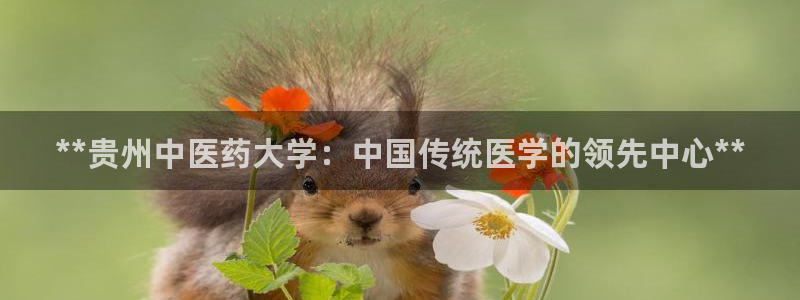 九游会官方下载