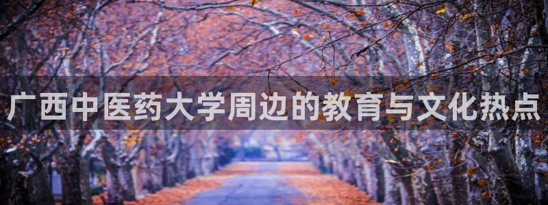 九游会亚洲第一