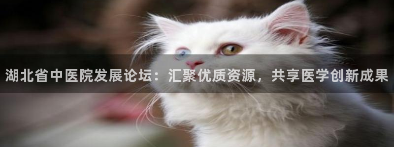 九游会官网首页进入吗