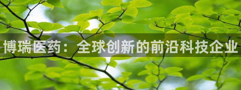 九游会官网贴吧：博瑞 