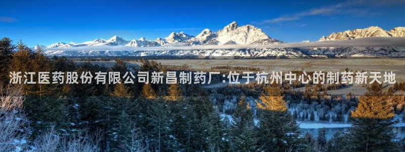 九游会官网ag旧版