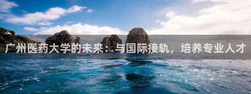 九游会ag网址大全专业版