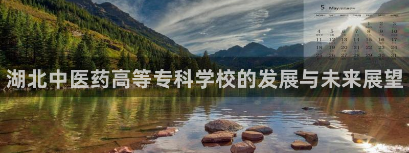 九游会集团新的选择：