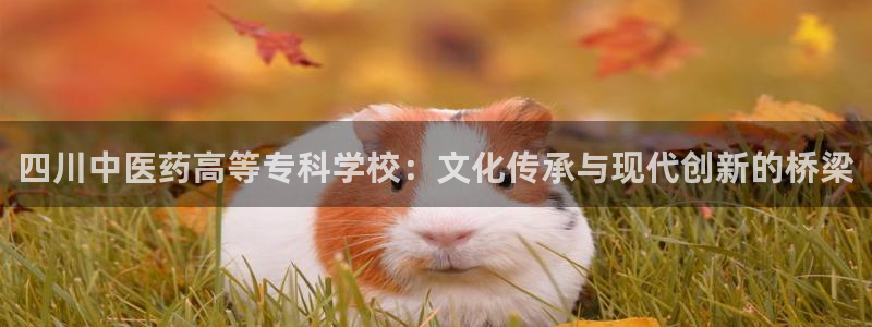 九游会游戏官方登录