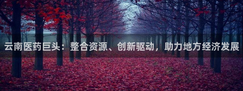 usdt九游会老哥俱