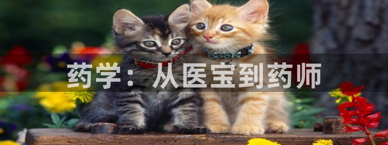9游会旗舰